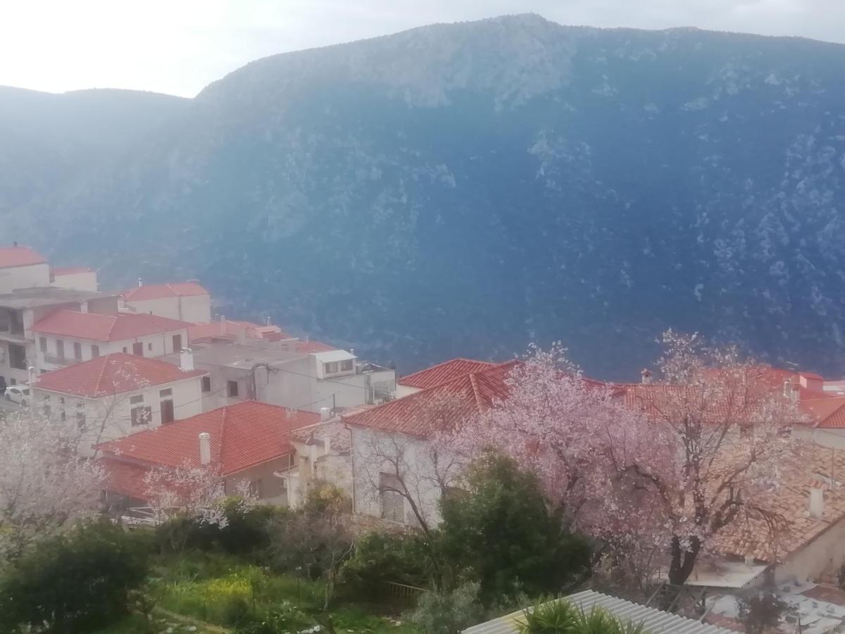 Castri Hotel Delfi Eksteriør bilde